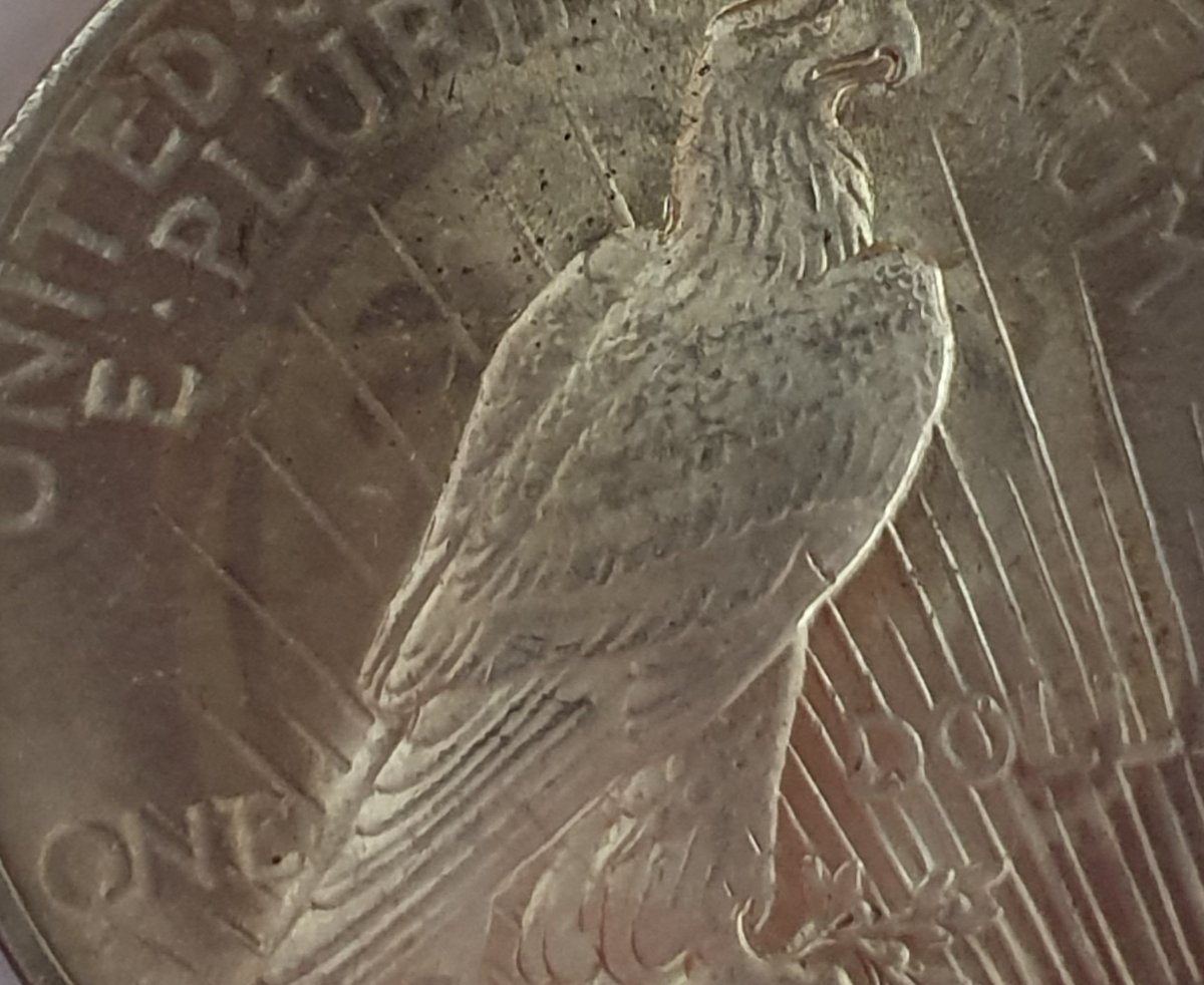 Strange-Feature-On-Reverse-Of-1922-Peace-Dollar?